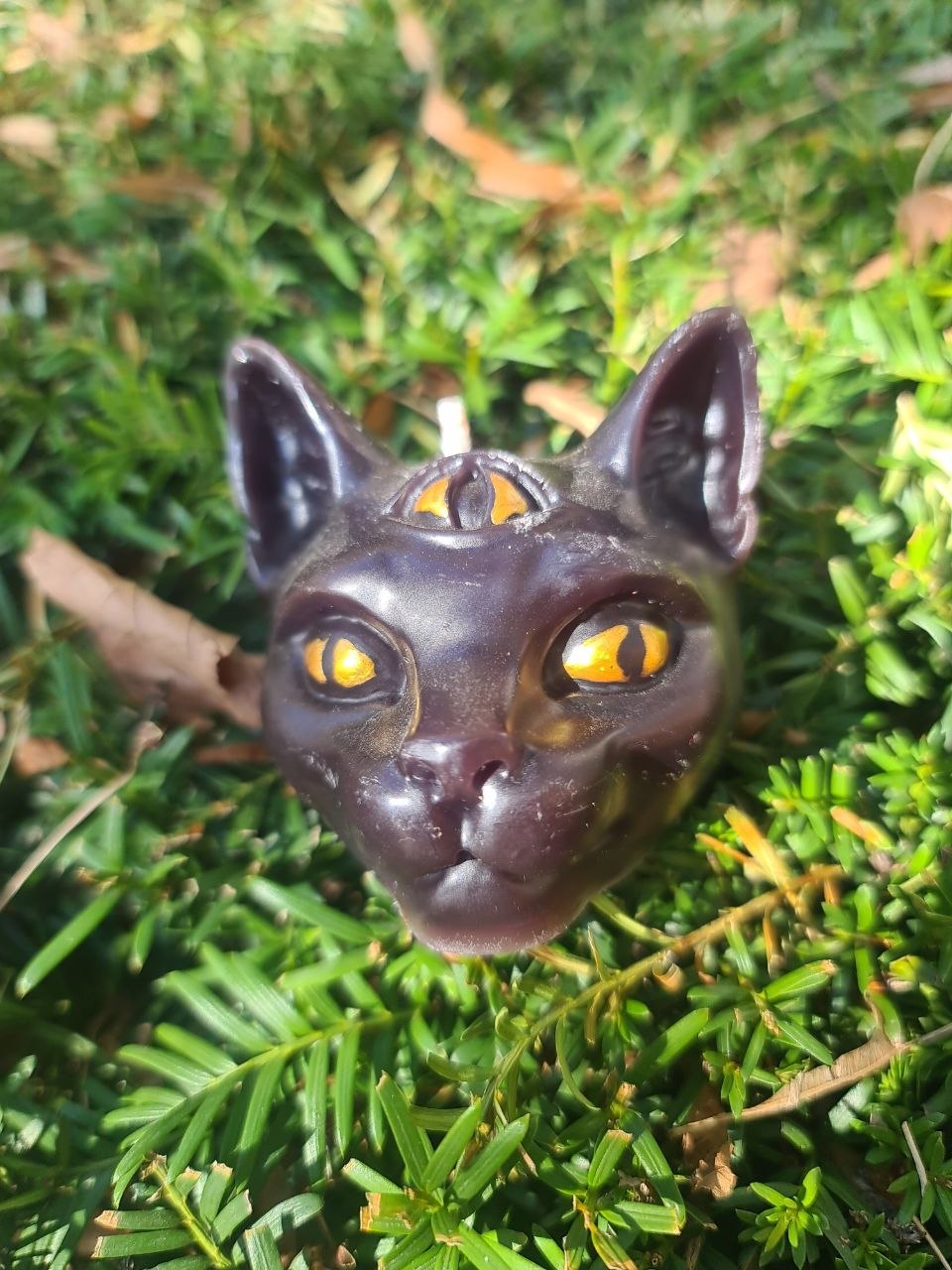 Кот с тремя глазами